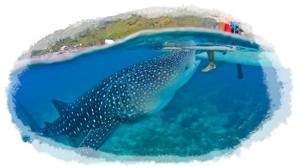 สุดยอด 10 สถานที่ ท่องเท
