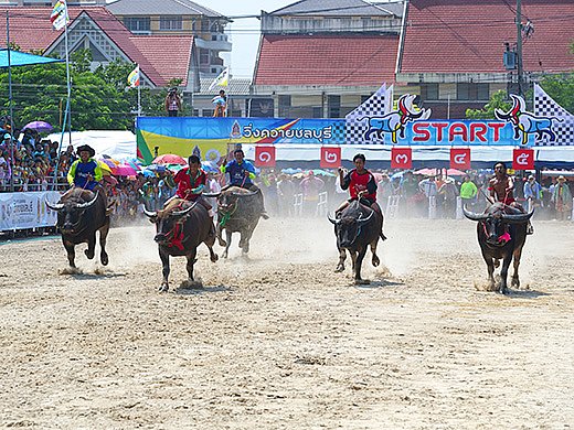 จังหวัดชลบุรี กับสถานทีท่องเที่ยวที่ซาบซึ้งใจ
