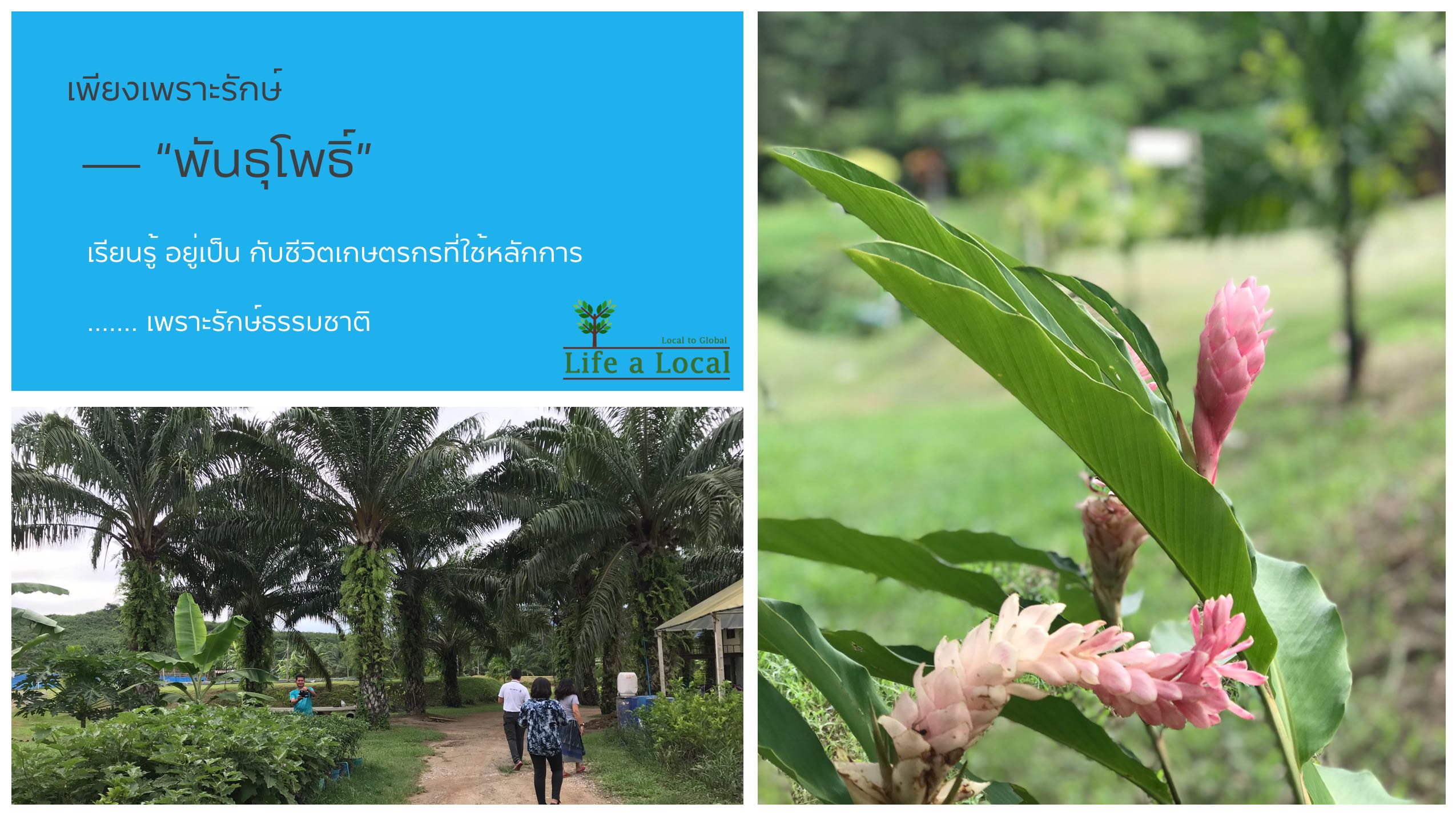 เมืองรอง ต้องลองเที่ยว “